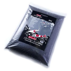 Borneo Wild Shrimp Soil Borneo Wild Shrimp Soil